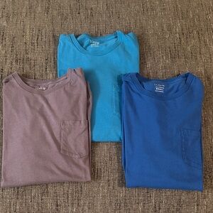 J. Crew Trio of Blue and Brown Tees